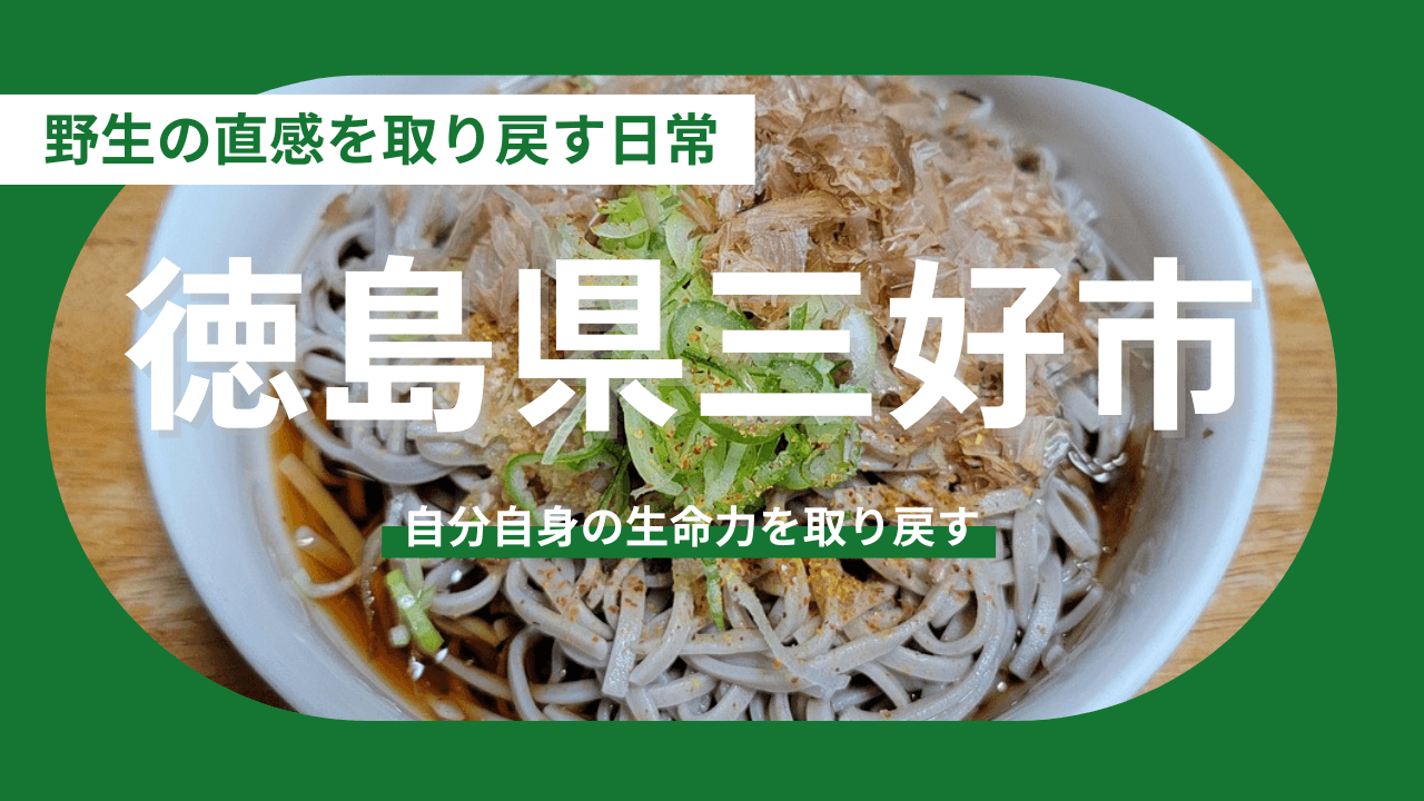 【徳島県三好市】秘境の静寂（しじま）で、野生の直感を取り戻す日常